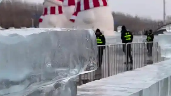 冰封奇观再现！哈尔滨冰雪大世界惊现“冰中游鱼”，全网掀起寻鱼热潮